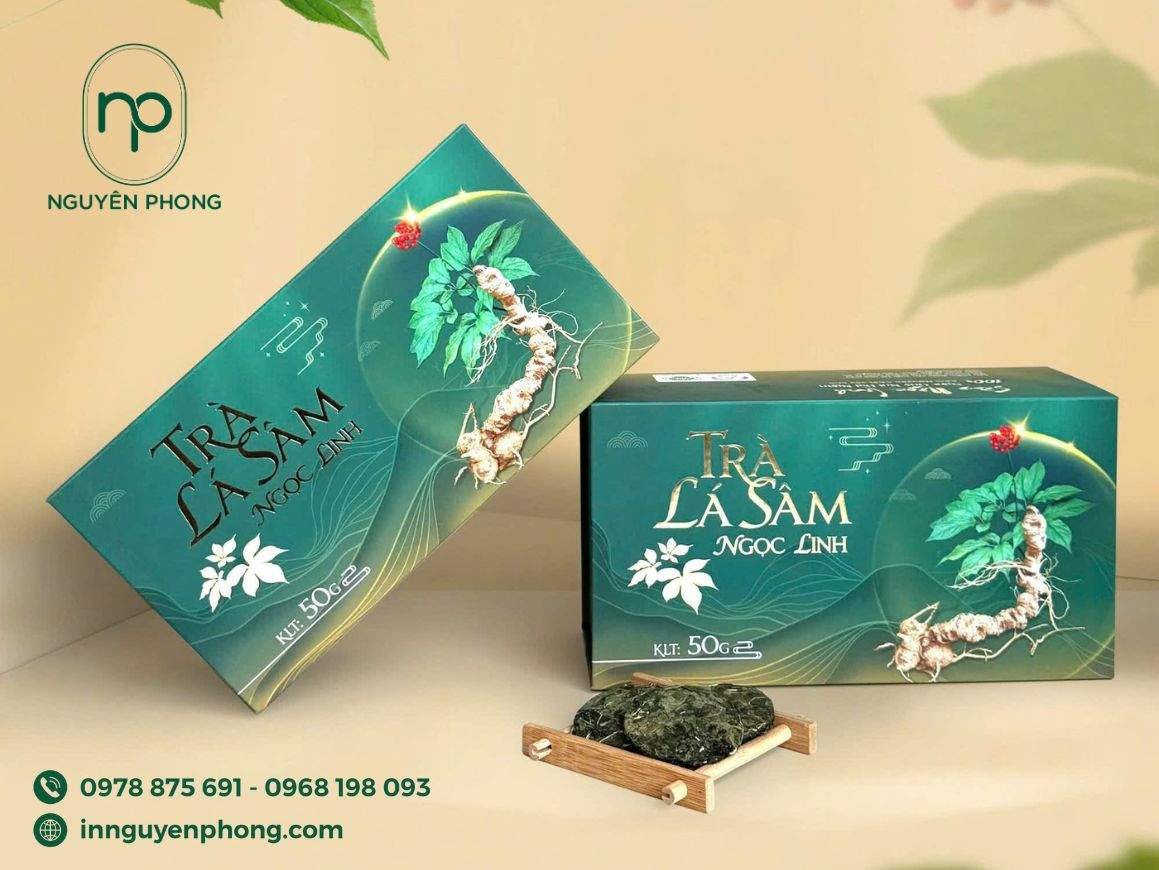 in hộp sâm 04